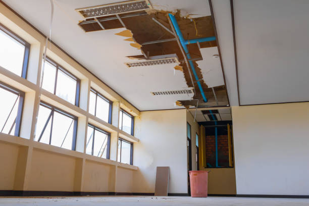 Best Professional water damage repair  in East Berlin, PA