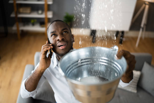 Best Carpet water damage restoration  in East Berlin, PA