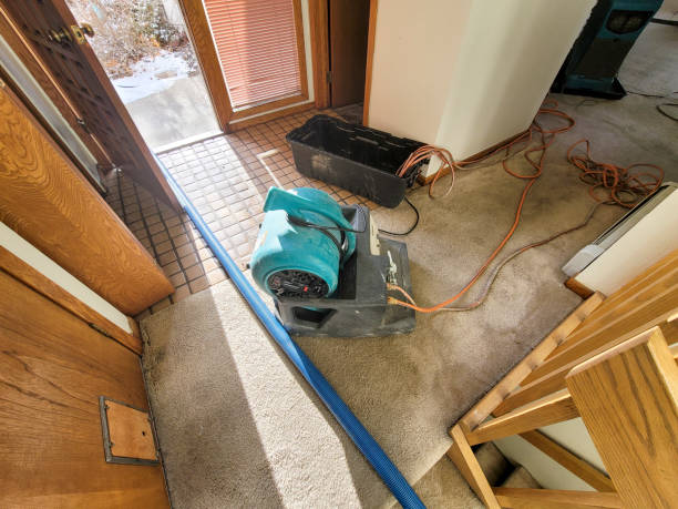 Best Mold removal after water damage  in East Berlin, PA