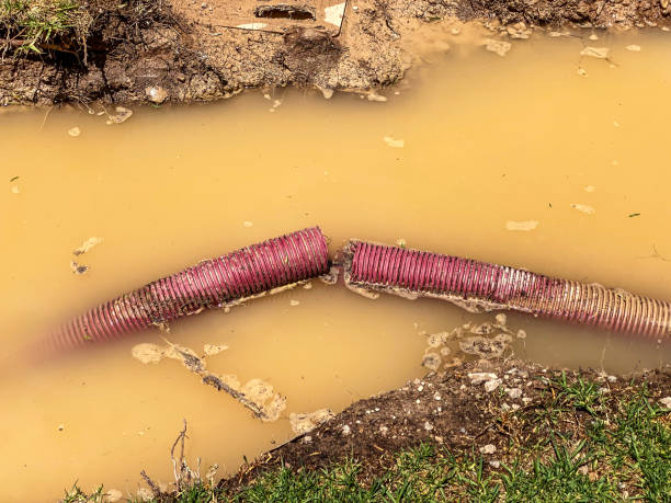 Best Water damage contractors near me  in East Berlin, PA